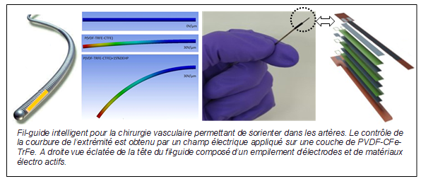 sante_fil_guide_terpo